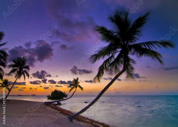 Obraz Riptide: sunrise in Islamorada, Florida Keys