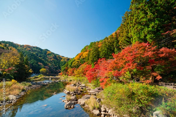 Obraz 愛知県豊田市足助町　紅葉した秋の香嵐渓