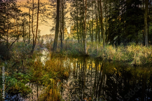 Fototapeta Wschód słońca na mokradłach Mazur w północno-wschodniej Polsce