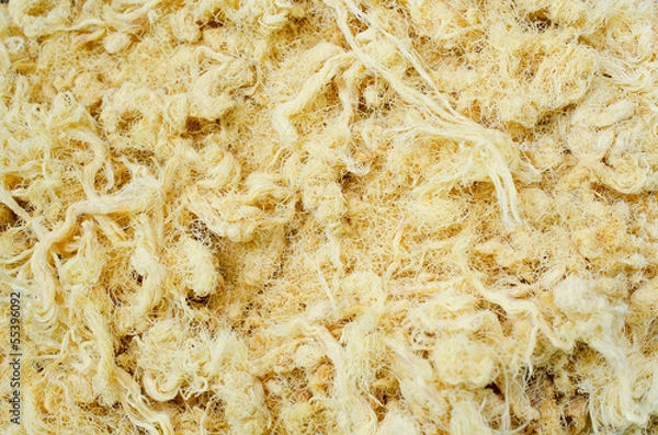 Obraz Dried shredded pork