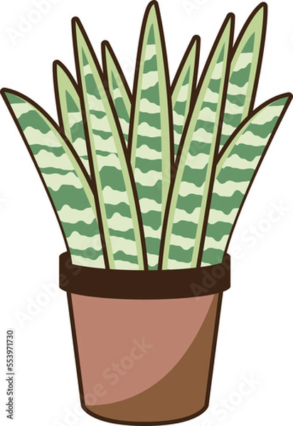 Obraz サンスベリア