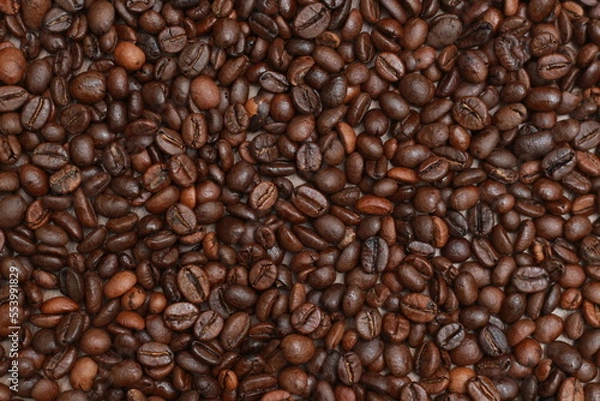 Fototapeta Detailed photo of coffee beans before being processed into a drink isolated on wood. Concept photo of the basic ingredients of coffee drinks.