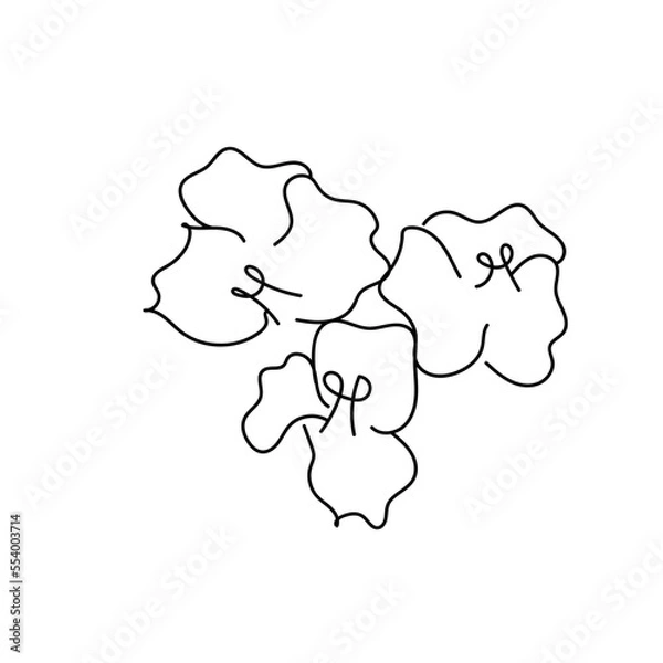 Fototapeta botanical one line drawing element