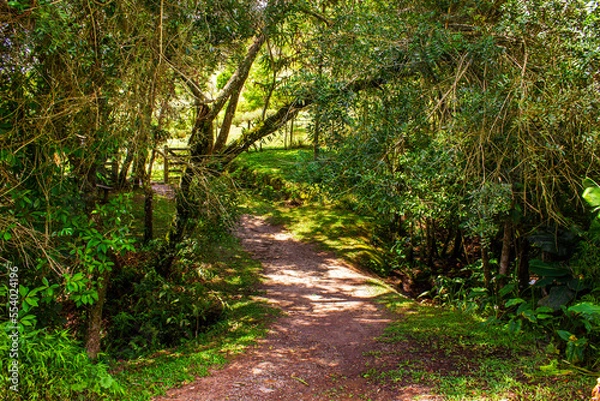 Fototapeta Caminho IMG_0399