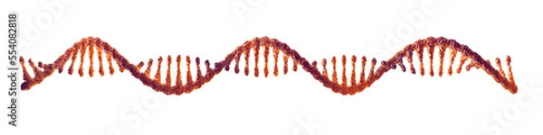Obraz Single strand ribonucleic acid (RNA) isolated. mRNA vaccine research concept
