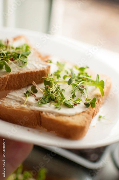 Fototapeta sandwich with micro-green cross-salad sprouts on a white plate in vertical format