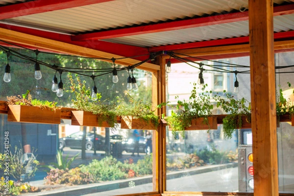 Fototapeta Hanging garden in a courtyard with gazebo and hanging plants and lights with urban or suburban city background in late afternoon