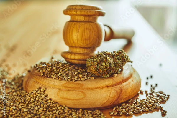 Obraz Legality of Medical Cannabis and Seeds, legal and illegal Cannabis, Seeds on the World - Wooden judge hammer and sound block with seeds and flower of marijuana CBD on the pinewood table background.