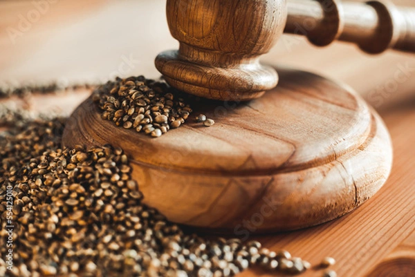Obraz Legality of Medical Cannabis and Seeds, legal and illegal Cannabis, Seeds on the World - Wooden judge hammer and sound block with seeds and flower of marijuana CBD on the pinewood table background.