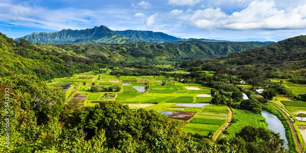 Obraz Hanalei Valley Panorama