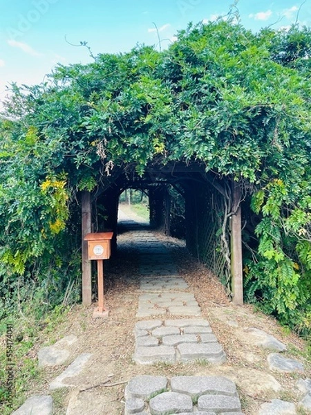 Obraz old stone bridge