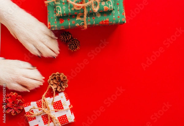 Fototapeta christmas background with cute dog paws - presents and decor on red copy space. 