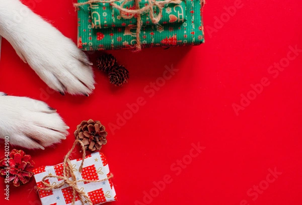 Fototapeta christmas background with cute dog paws - presents and decor on red copy space. 