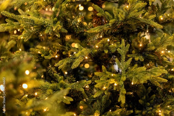 Obraz Christmas tree with lights