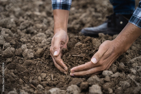 Fototapeta Farmers' expert hands check soil health before planting vegetable seeds or seedlings. Business idea or ecology.