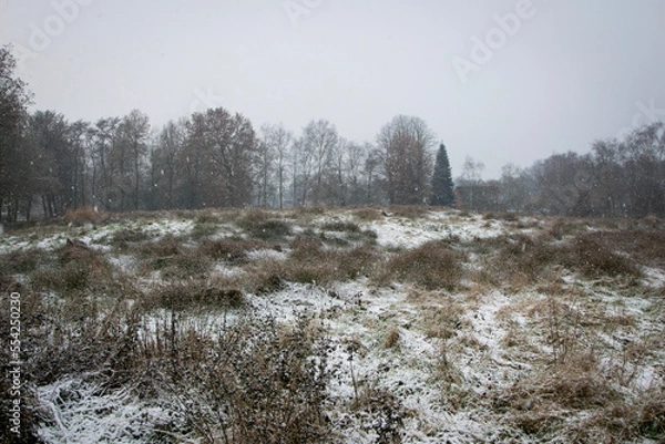 Obraz river in winter