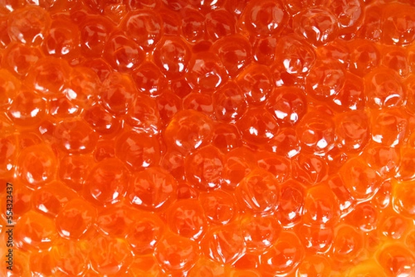 Fototapeta Red caviar close-up on a white background flat lay, delicacy, appetizer, salmon caviar, fish caviar, red caviar background wallpaper