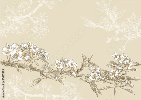 Obraz Hand drawing card flower background