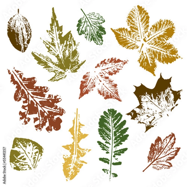 Obraz Collection of autumn leaves imprints