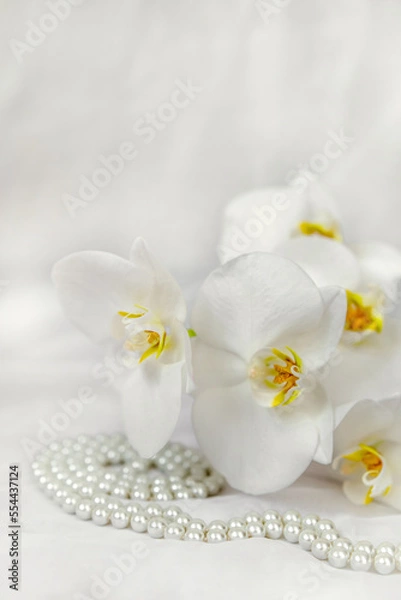 Fototapeta The branch of white orchids on white fabric background
