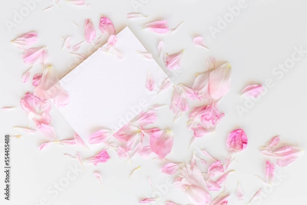 Fototapeta Flatlay composition of pink peony petals and an empty postcard on the white background