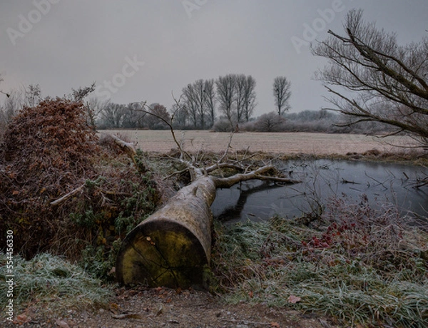 Obraz Frostige Landschaft