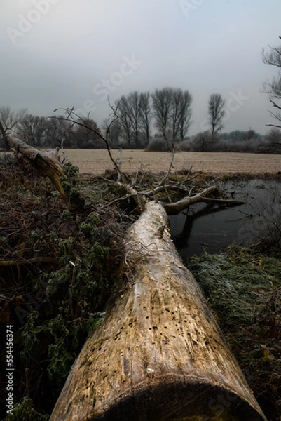 Obraz Frostige Landschaft