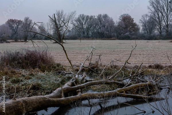 Obraz Frostige Landschaft