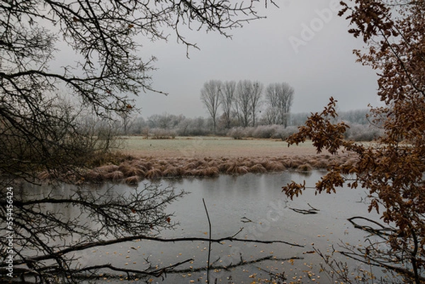 Obraz Frostige Landschaft