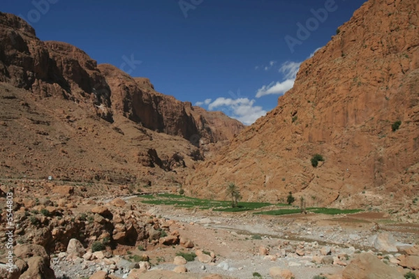 Fototapeta Todra george