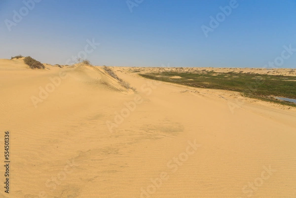 Fototapeta Desert off the coast of the Atlantic Ocean, Walvis Bay. Swakopmund, Namibia.
