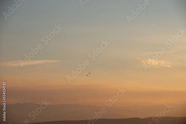 Obraz sunset with birds