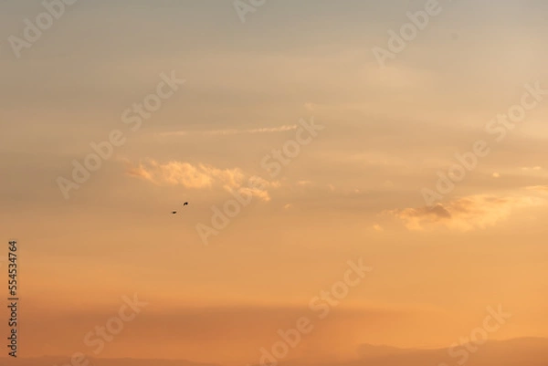 Obraz sunset in the sky