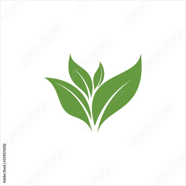 Fototapeta green leaf icons design template vector	