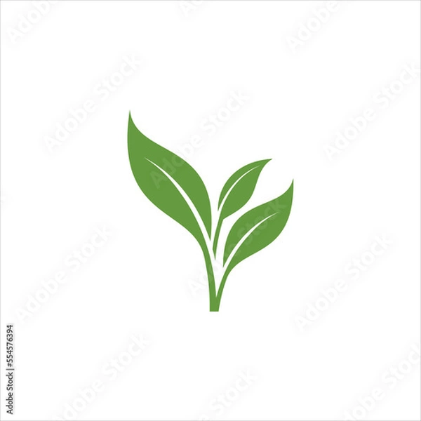 Fototapeta green leaf icons design template vector	