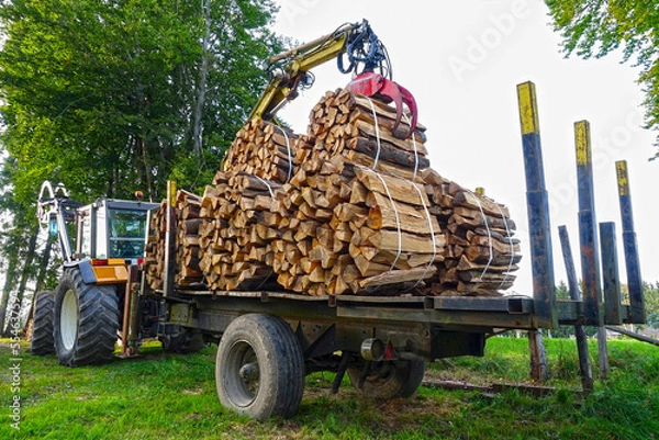Fototapeta Bundles of firewood on a tractor trailer