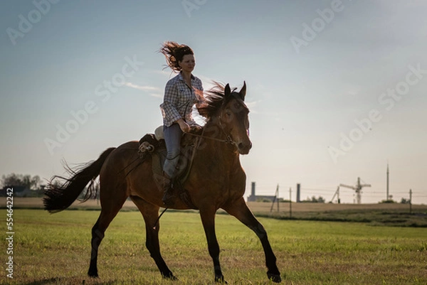 Fototapeta Молодая красивая тёмноволосая девушка скачет на лошади по летнему полю.