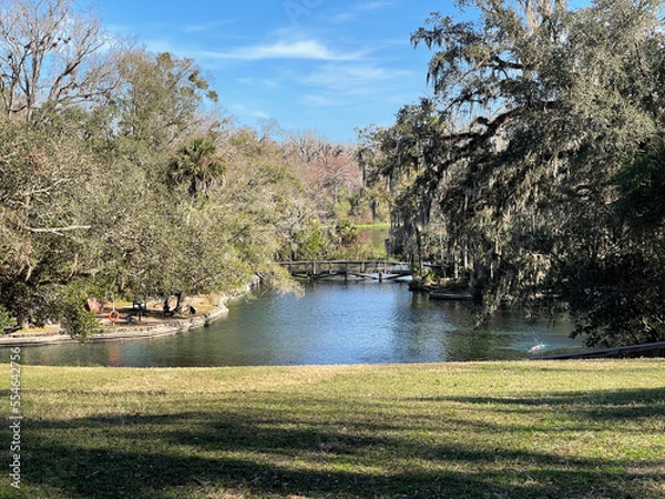 Obraz The hiking trails at Wekiwa State Park in Orlando, Florida.