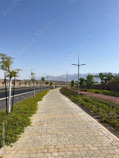 Fototapeta path in the park