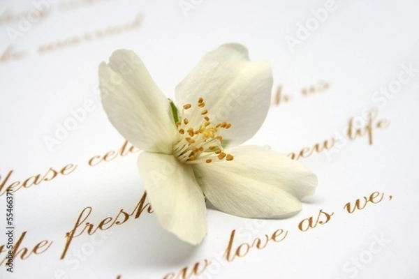 Fototapeta Love letter