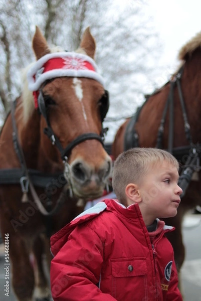 Obraz cheval et garçon