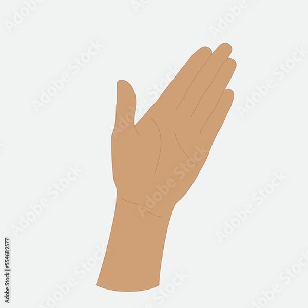 Fototapeta Vector illustration of a woman's palm