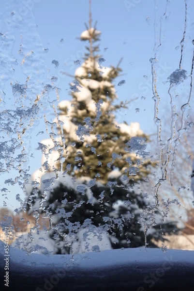 Obraz Winter window view at the snowy fir
