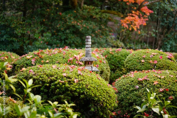 Obraz 日本の秋景色。
色とりどりの自然の草花。
心癒される自然。