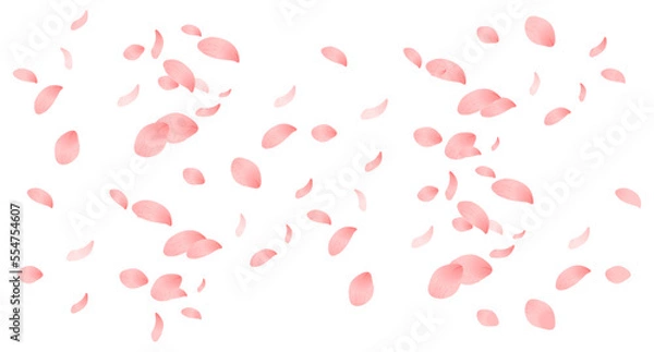 Fototapeta 春・桃の花びらのシームレスパターン背景