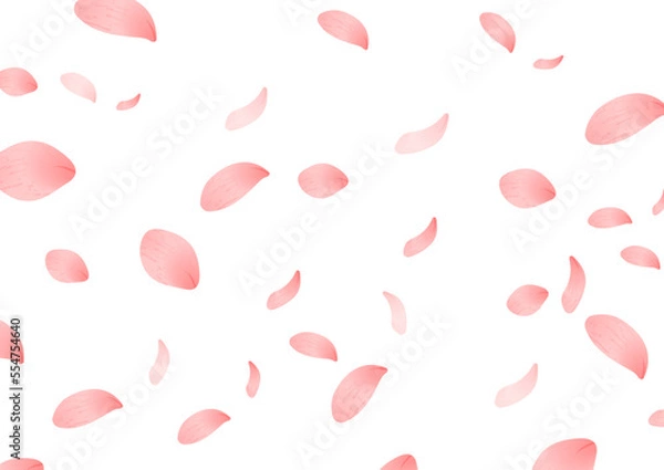 Fototapeta A4比率の桃の花びらの背景