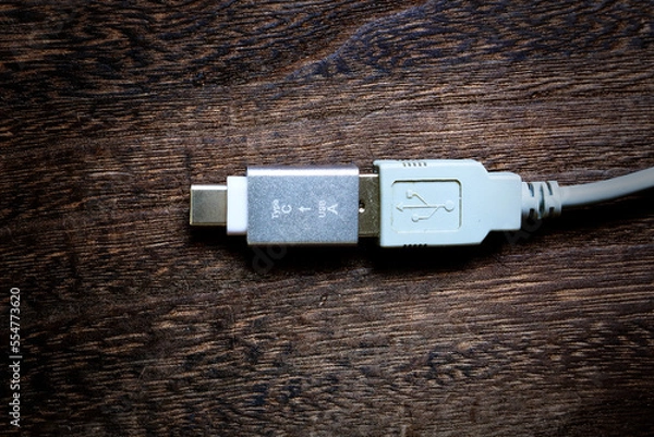 Fototapeta USB typeC to USB TYPE-A 変換アダプタ
