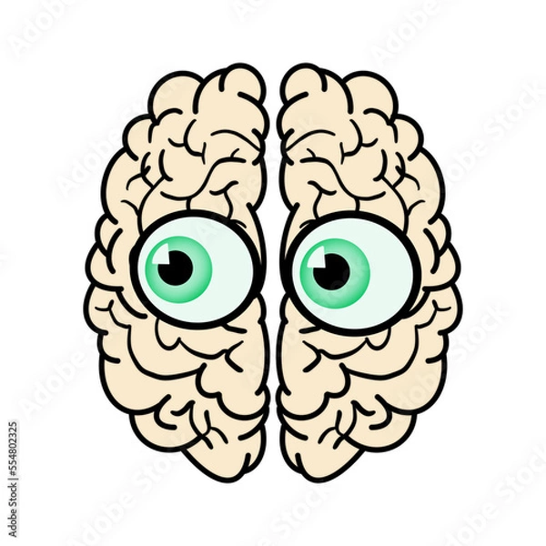 Fototapeta The brain and eyes control