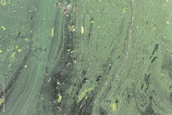 Fototapeta amaury animation