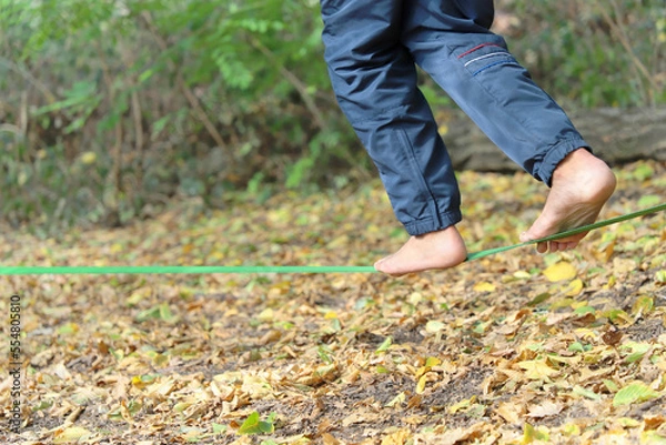 Fototapeta amaury animation